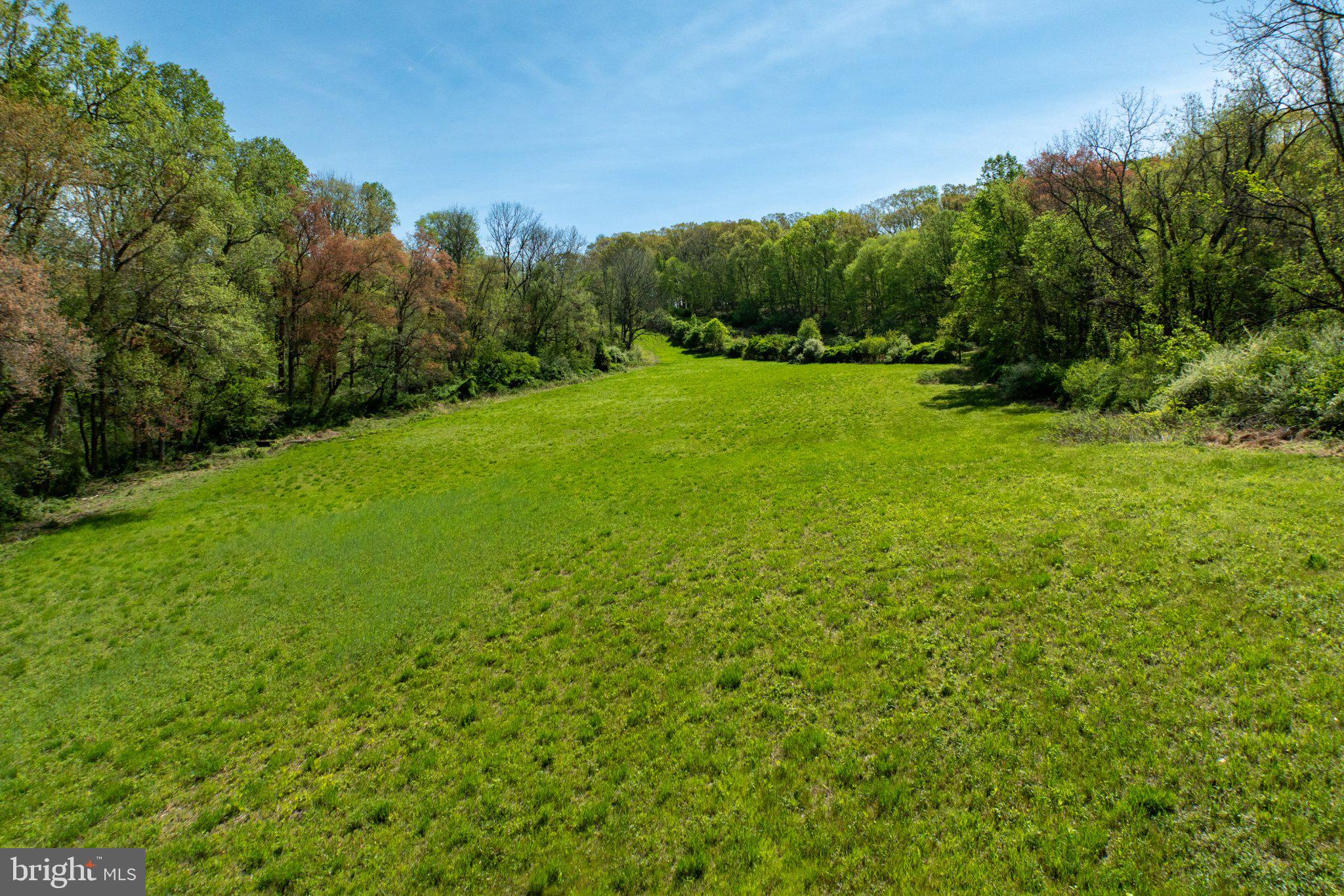 380 Glen Roy Road Nottingham, PA 19362 - Photo 38 of 45 Lush green expanse meets serene woods.