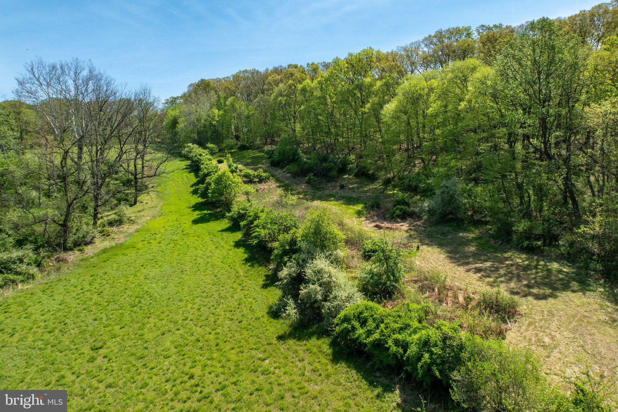 380 Glen Roy Road Nottingham, PA 19362 - Photo 39 of 45 Lush greenery meets serene tranquility.