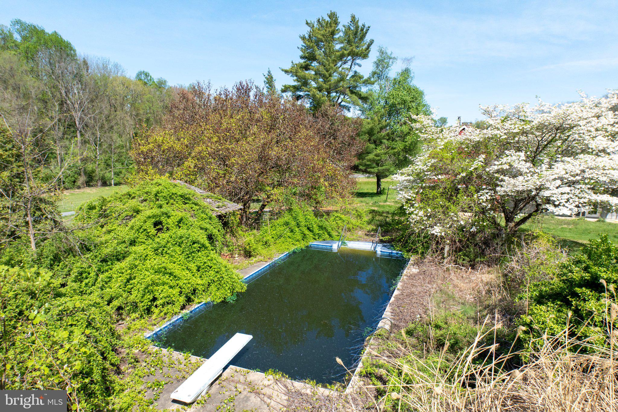 380 Glen Roy Road Nottingham, PA 19362 - Photo 8 of 45 Overgrown pool nestled in nature's embrace.