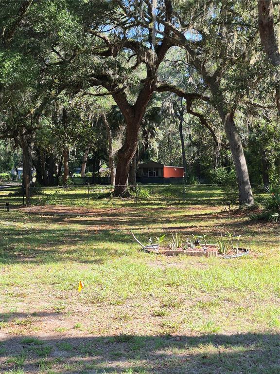 16615 Island Road Citra, FL 32113 - Photo 6 of 10