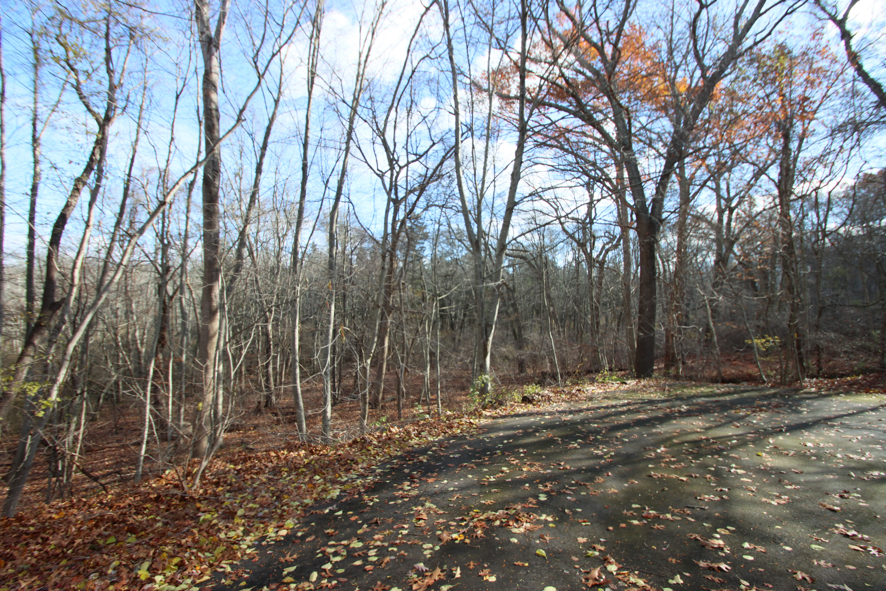 20 Carriage Drive Clinton, CT 06413 - Photo 25 of 31 a view of outdoor space with trees