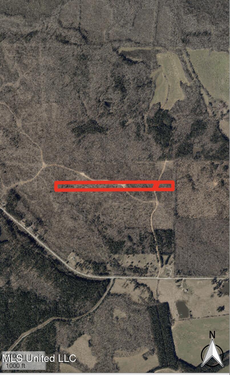 267 County Road Abbeville, MS 38601 - Photo 2 of 4 CO RD 267