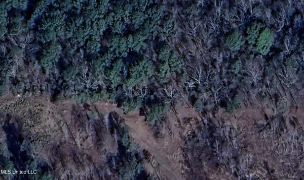 $50,000 | 267 County Road, Abbeville, MS 38601