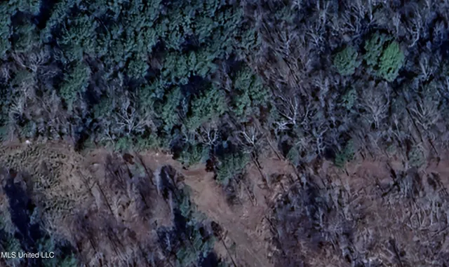 $50,000 | 267 County Road, Abbeville, MS 38601