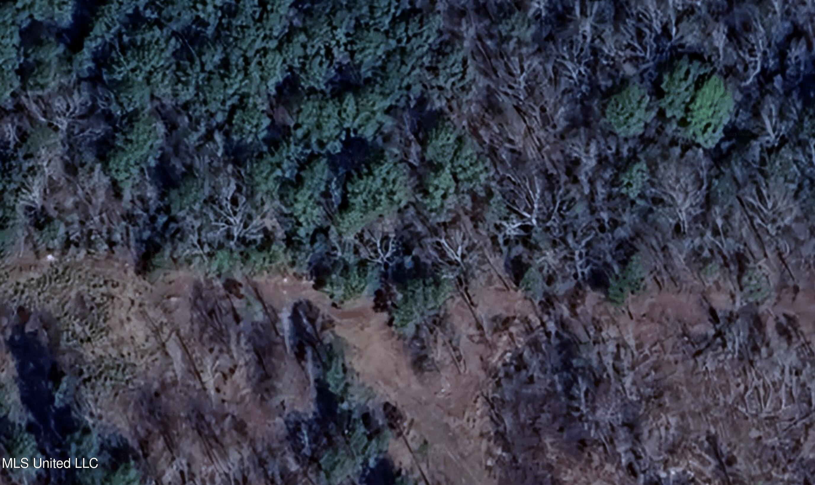 267 County Road Abbeville, MS 38601 - Photo 4 of 4 CO RD 267