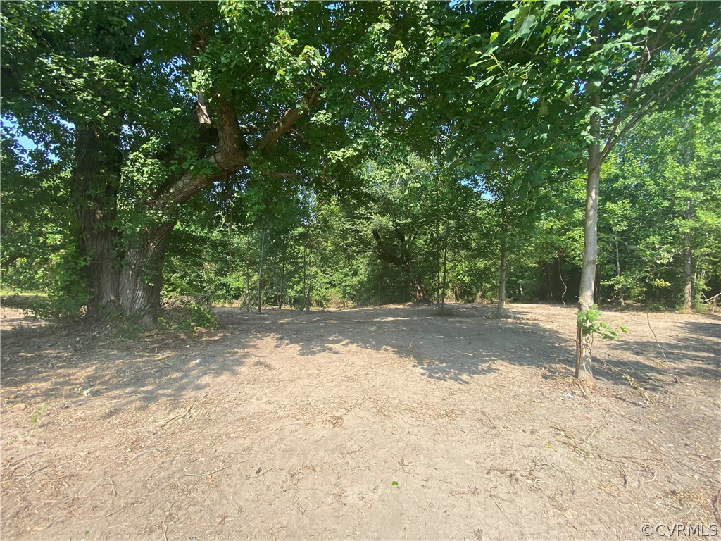 7314 Hines Road Disputanta, VA 23842 - Photo 17 of 25 Gallery Image 17