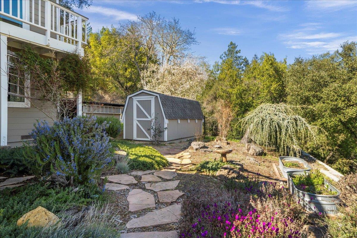25400 Radonich Road Los Gatos, CA 95033 - Photo 32 of 42 a backyard of a house with lots of green space and trees