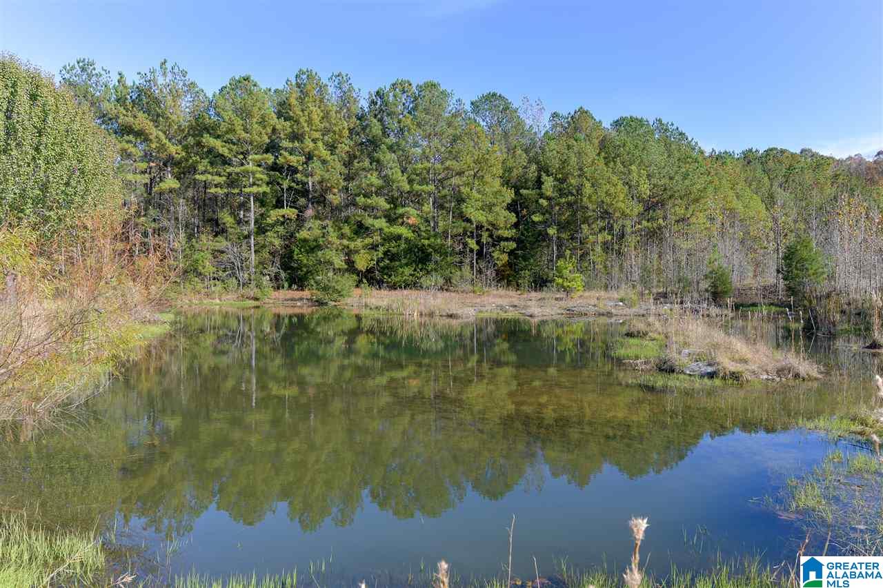 300 Eaglewood Farms Road Alabaster, AL 35114 - Photo 13 of 49 Gallery Image 13