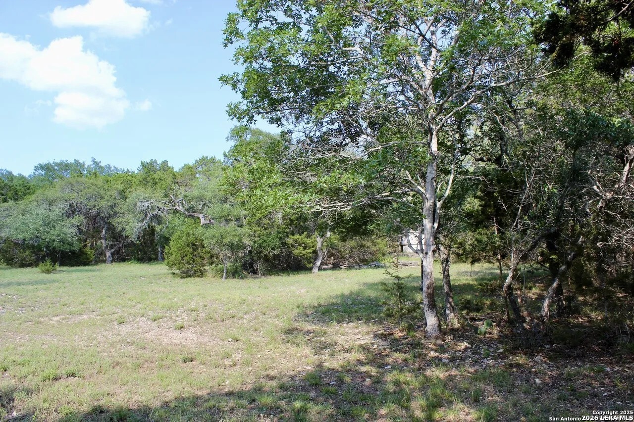 197 Rosenberry Bulverde, TX 78163 - Photo 2 of 11
