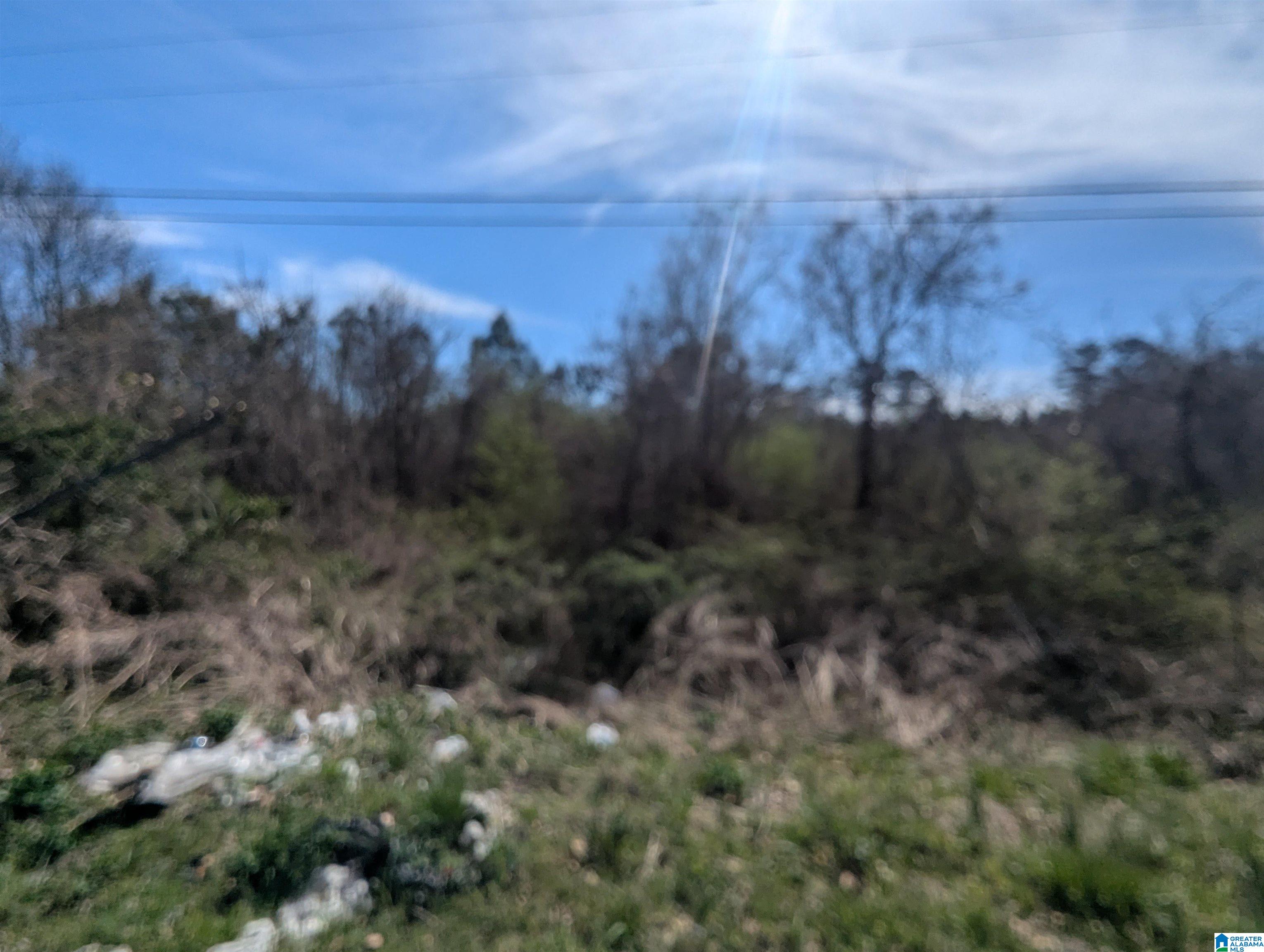 0 Spiral Street, Unit 2 Anniston, AL 36201 - Photo 8 of 15