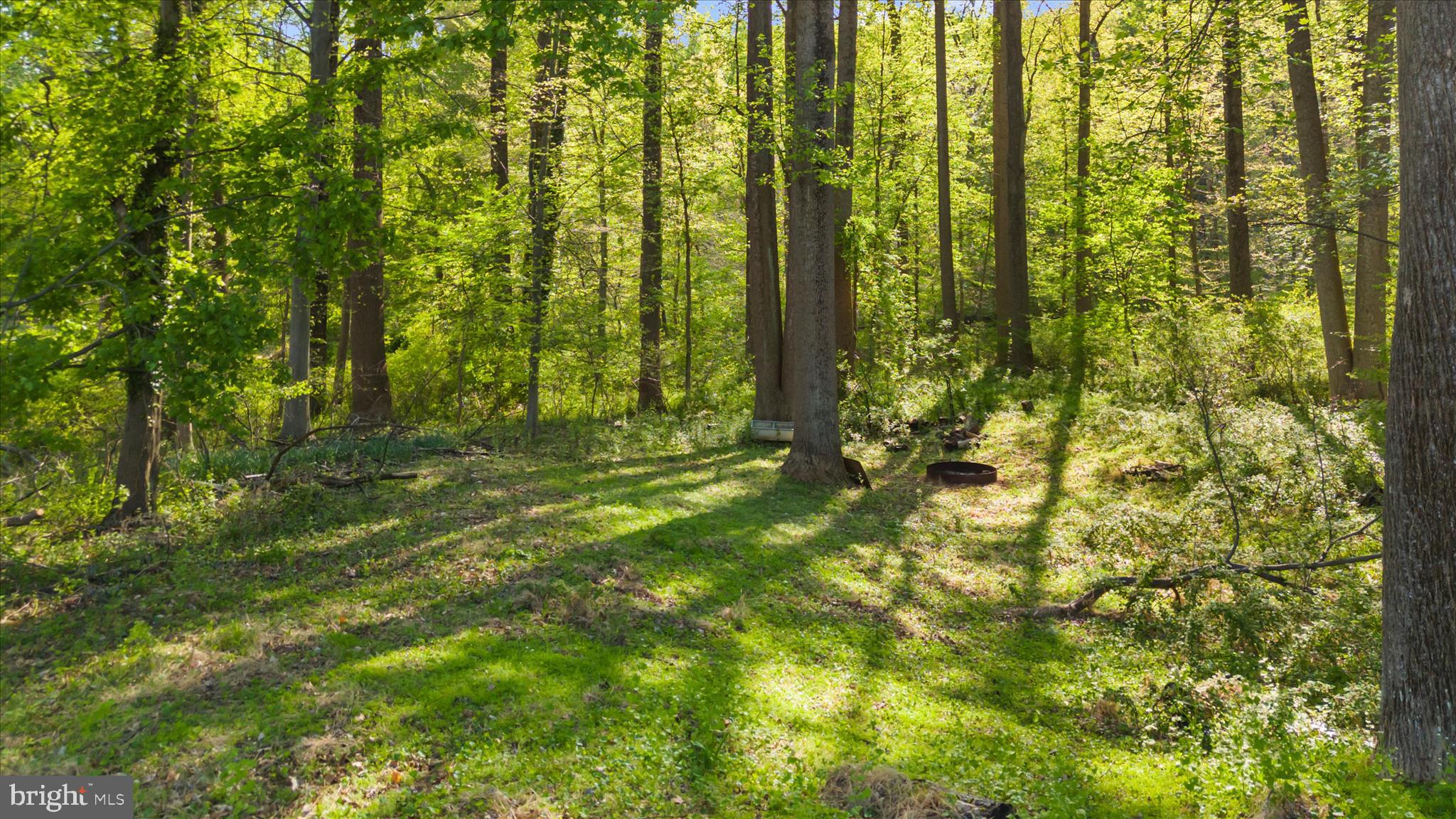2836 Ridge Road Windsor Mill, MD 21244 - Photo 35 of 47 Thick woods that are part of the property