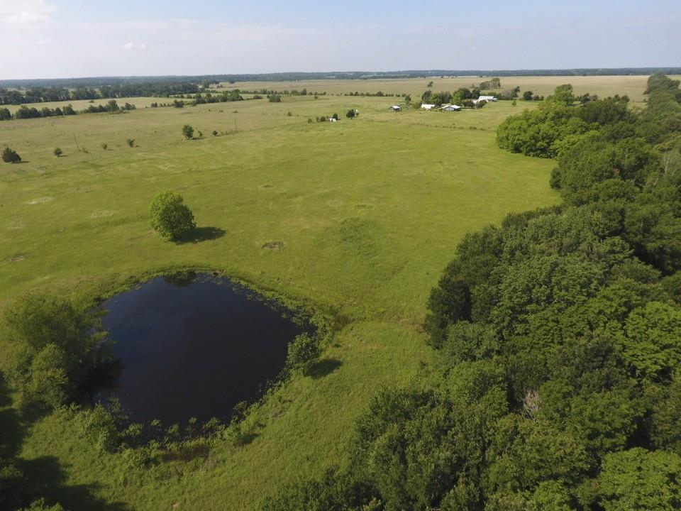 8698 River Bend Road Oakwood, TX 75855 - Photo 46 of 55