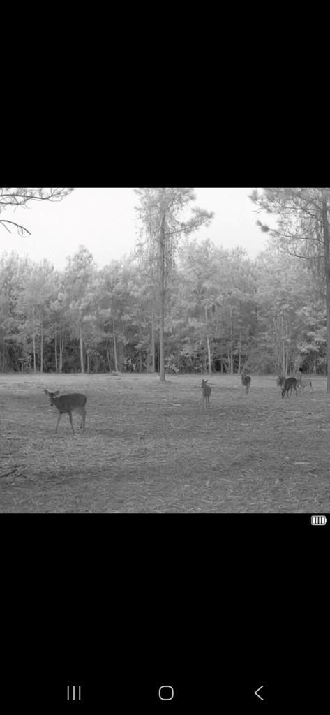 20-ac Coot Adams Road Ashford, AL 36312 - Photo 26 of 28