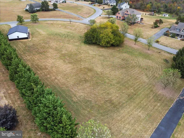 a picture of a tree with a yard