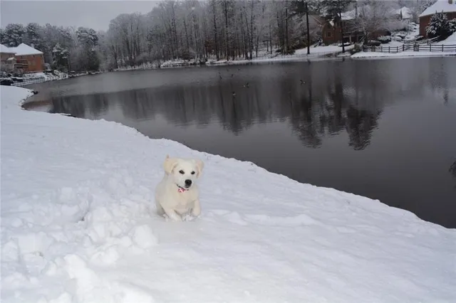 $6,900 | 870 Longstone Landing, Alpharetta, GA 30022