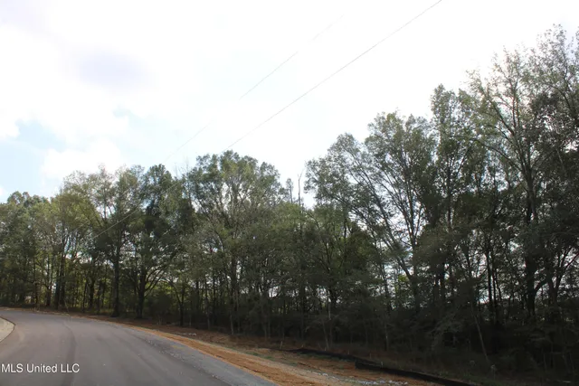 $115,000 | 7 Hickory Hollow Road, Coldwater, MS 38618