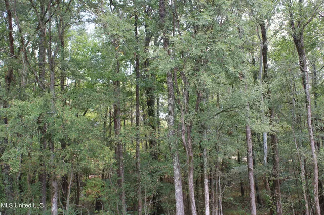 $115,000 | 7 Hickory Hollow Road, Coldwater, MS 38618