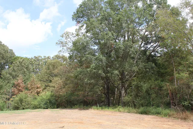 $115,000 | 7 Hickory Hollow Road, Coldwater, MS 38618