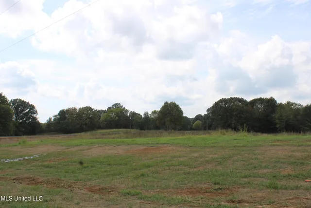 $115,000 | 7 Hickory Hollow Road, Coldwater, MS 38618