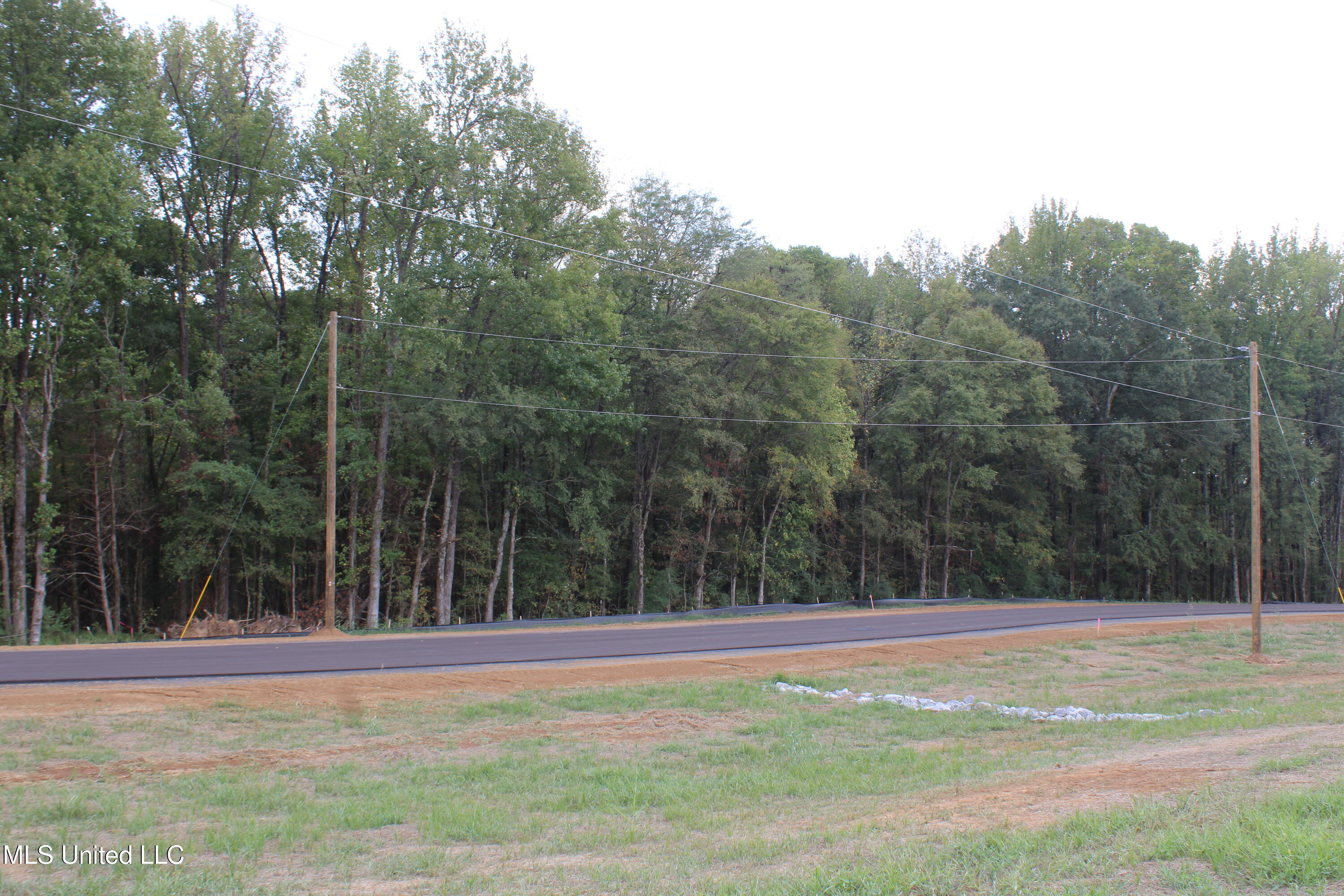 7 Hickory Hollow Road Coldwater, MS 38618 - Photo 53 of 70 IMG_6613