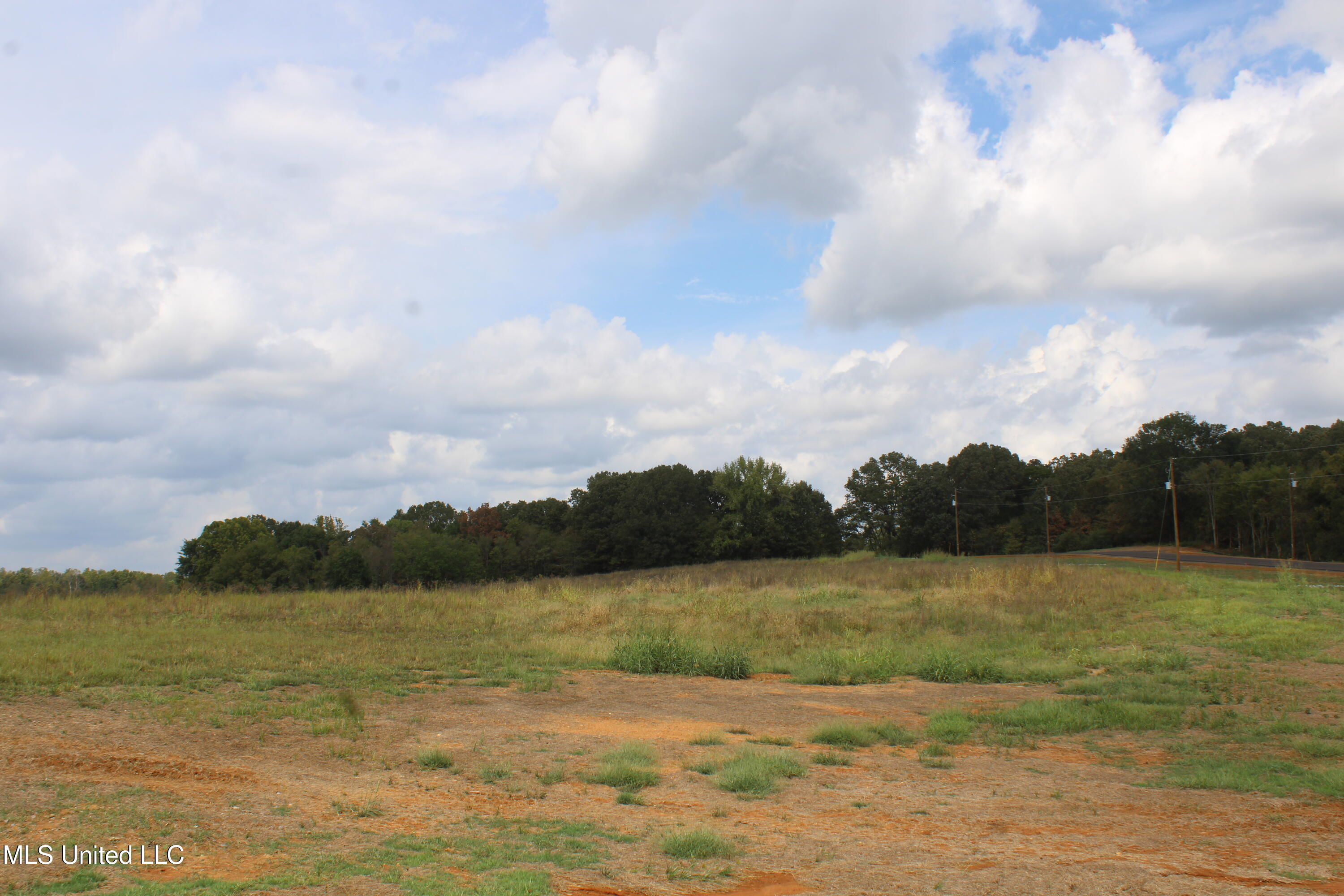 7 Hickory Hollow Road Coldwater, MS 38618 - Photo 57 of 70 IMG_6617