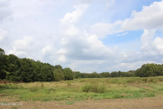 $115,000 | 7 Hickory Hollow Road, Coldwater, MS 38618