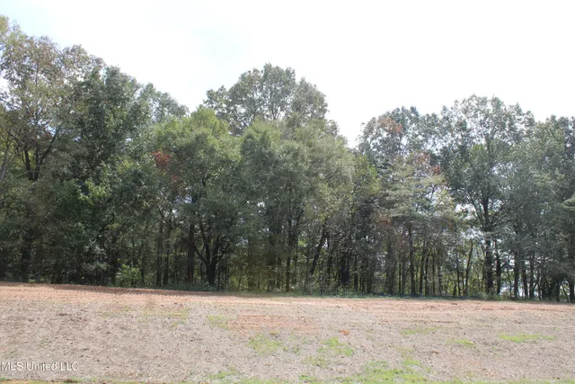 $115,000 | 7 Hickory Hollow Road, Coldwater, MS 38618