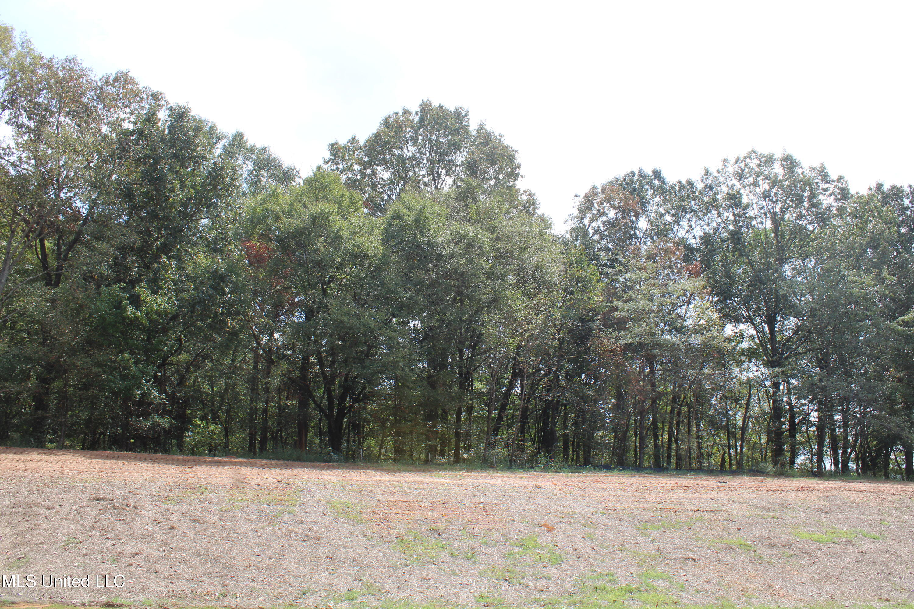 7 Hickory Hollow Road Coldwater, MS 38618 - Photo 8 of 70 IMG_6564