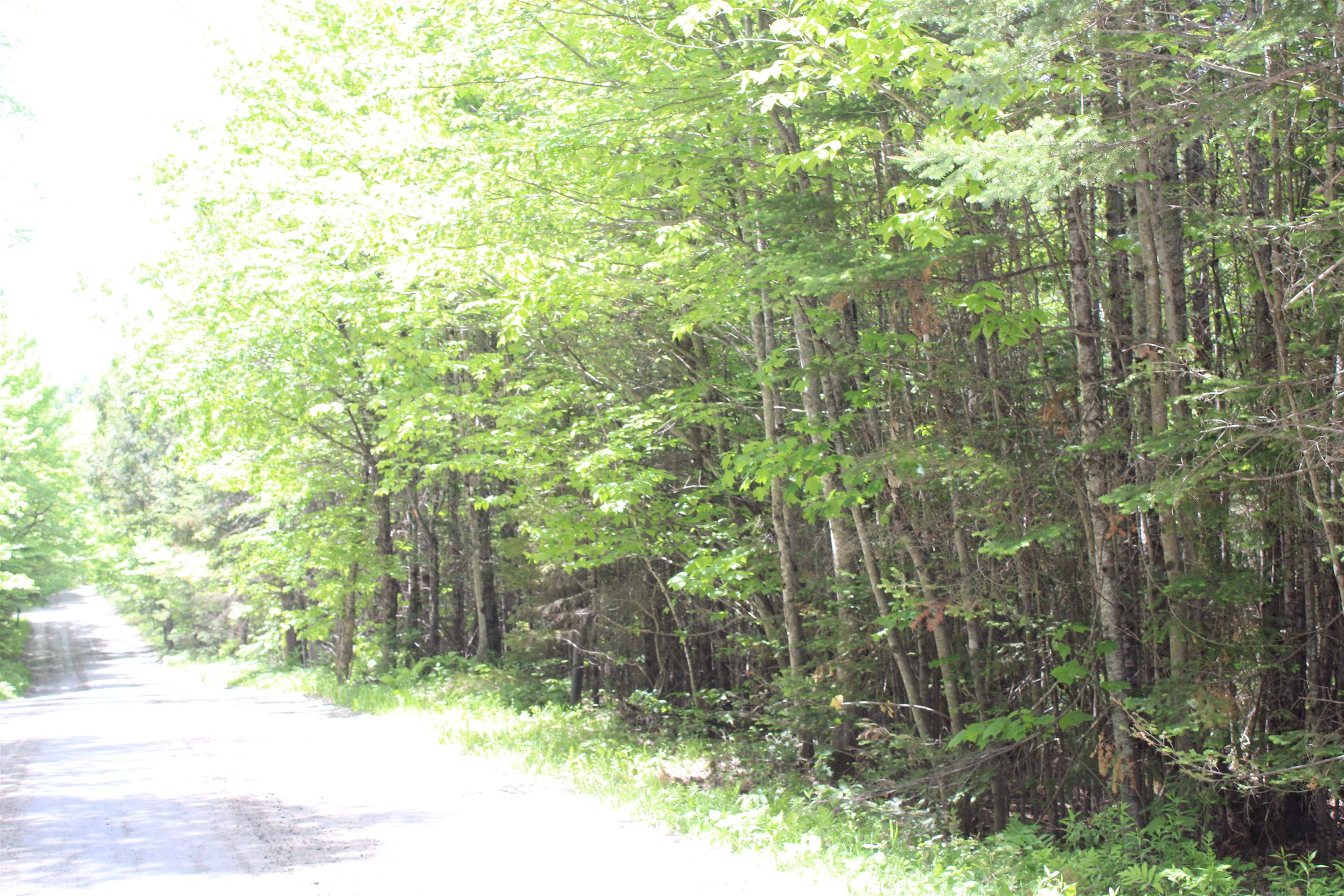 None Long Hill Road, Unit 1 Concord, VT 05824 - Photo 2 of 3