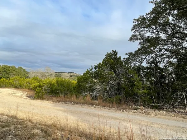 a view of a yard and mountain view