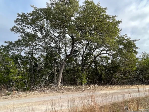 a view of a yard with a tree