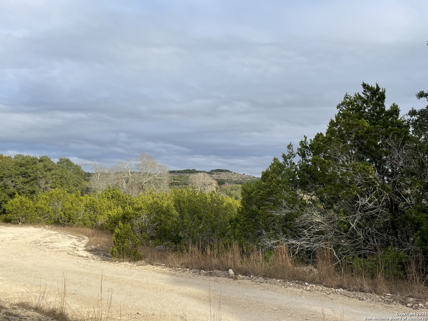 1490 Red Rock Road Kendalia, TX 78027 - Photo 5 of 5 a view of a yard
