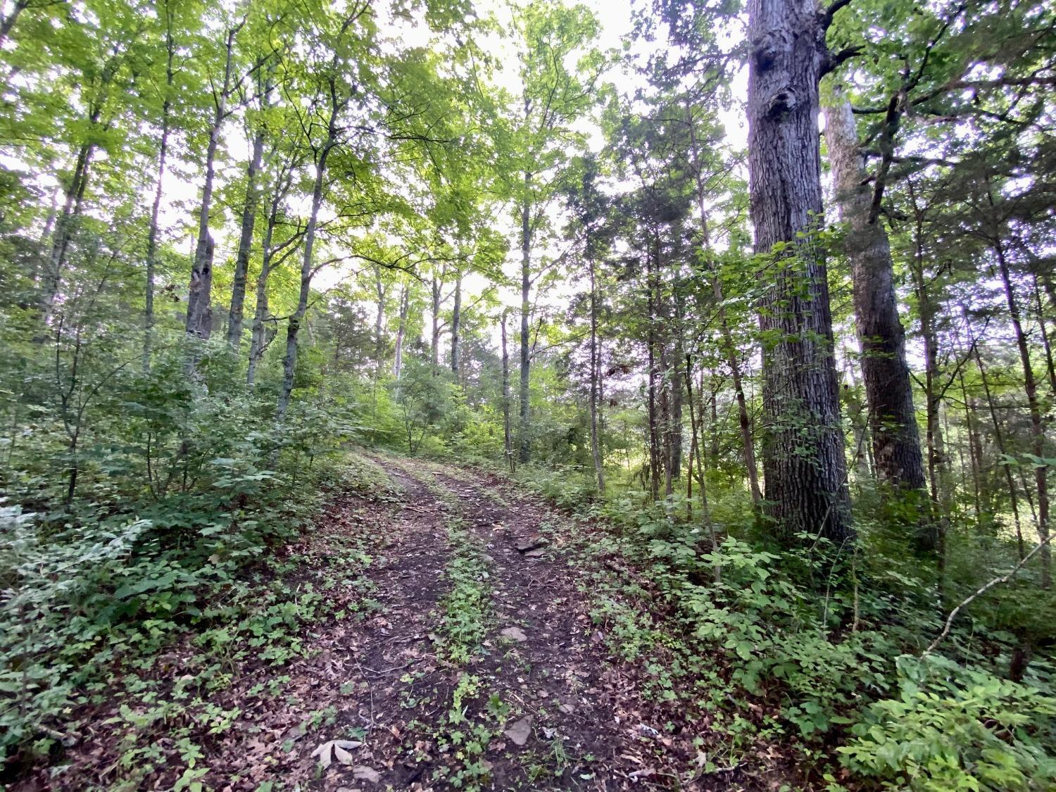 Acre Brier Ridge Road West Union, OH 45693 - Photo 14 of 27