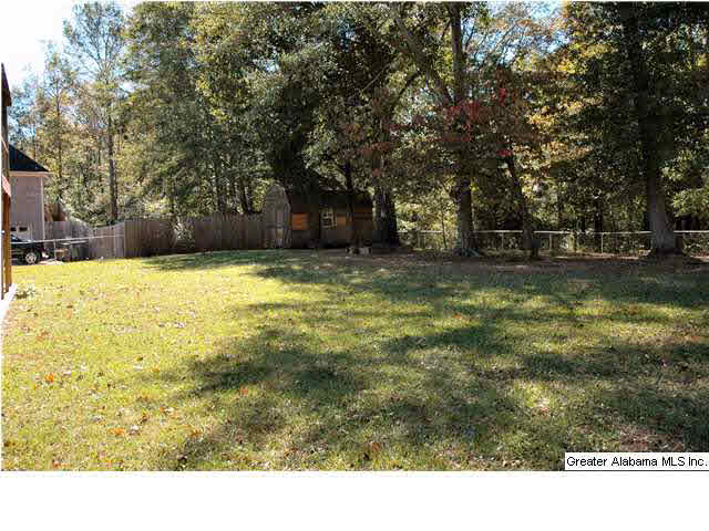 155 Peaceful Lane Springville, AL 35146 - Photo 26 of 27
