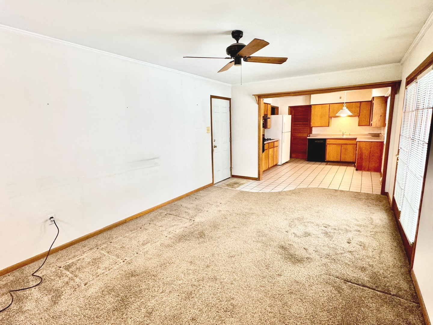 219 William Street New Lenox, IL 60451 - Photo 15 of 29 a view of a livingroom with a ceiling fan and window