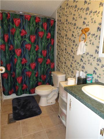 1160 Powdermill Br Road Summertown, TN 38483 - Photo 17 of 20 Guest Bathroom located between Bedroom #2 & #3.