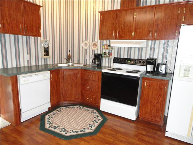 1160 Powdermill Br Road Summertown, TN 38483 - Photo 10 of 20 View of the Kitchen Sink, cabinets