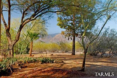 5630 North Blue Bonnet Road Tucson, AZ 85743 - Photo 6 of 10 Gallery Image 6