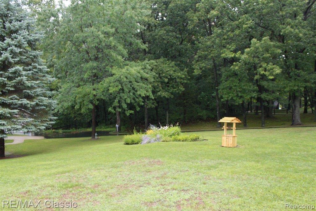 6455 Brighton Road Brighton, MI 48116 - Photo 15 of 21 Privacy & Mature Trees