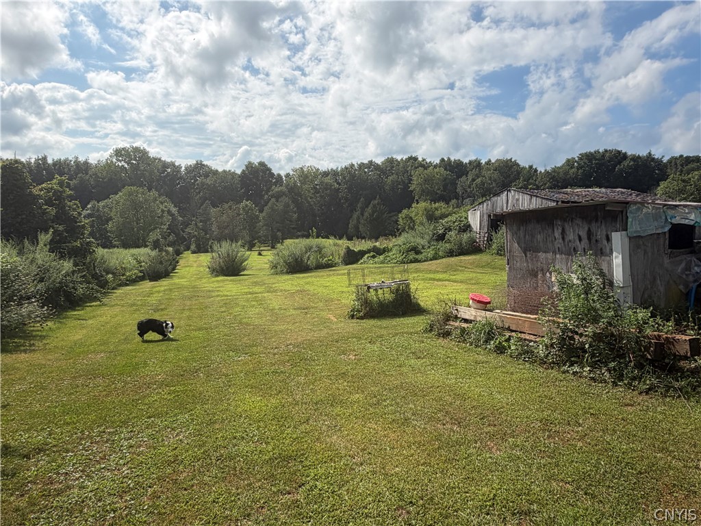 11255 Drake Road Conquest, NY 13033 - Photo 7 of 7 Gallery Image 7