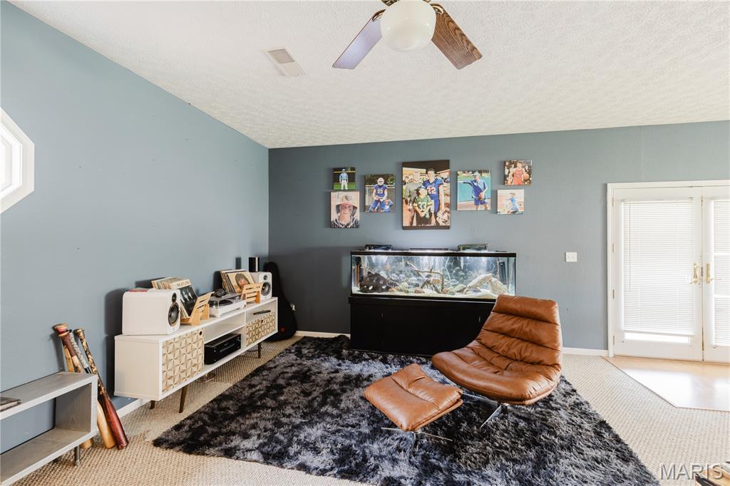 42 Hickory Road Nashville, IL 62263 - Photo 43 of 78