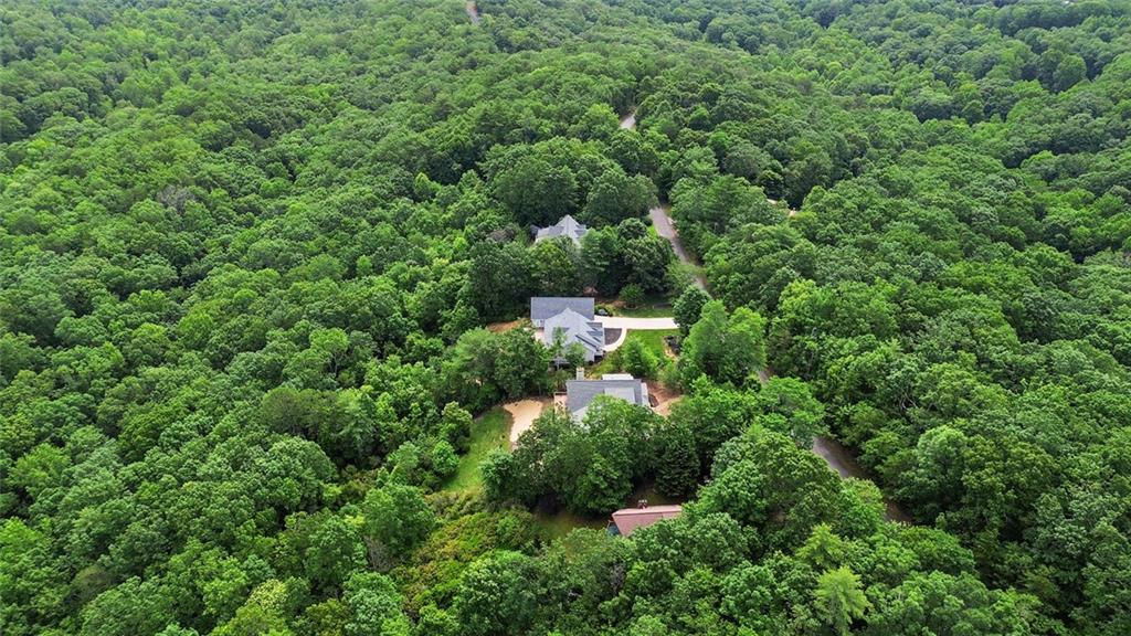 1168 Highland Road Sautee Nacoochee, GA 30571 - Photo 61 of 65 an aerial view of residential house with outdoor space and trees all around