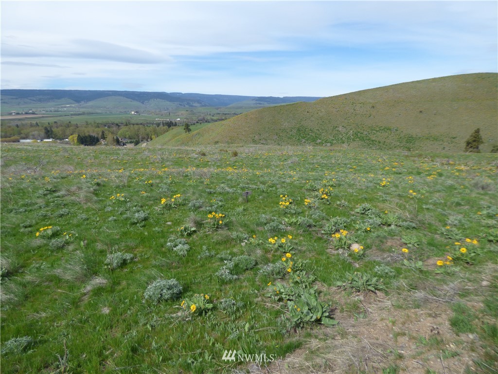 7 Ellensburg Ranches Road Ellensburg, WA 98926 - Photo 1 of 2 Gallery Image 1
