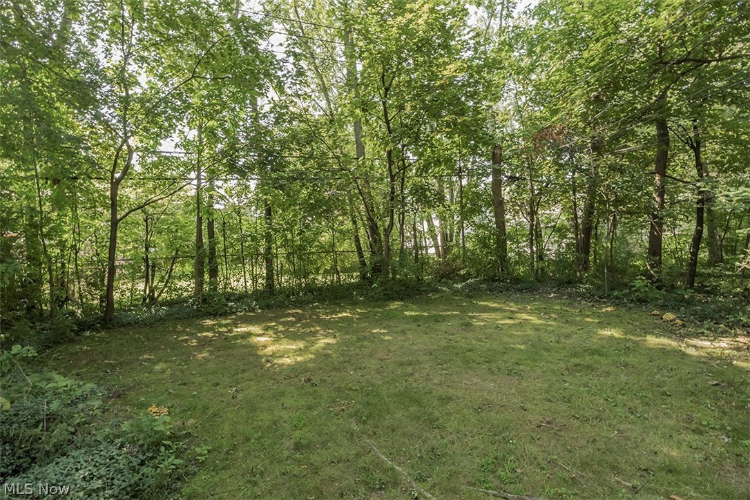 3320 Ormond Road Cleveland, OH 44118 - Photo 34 of 35 Gallery Image 34