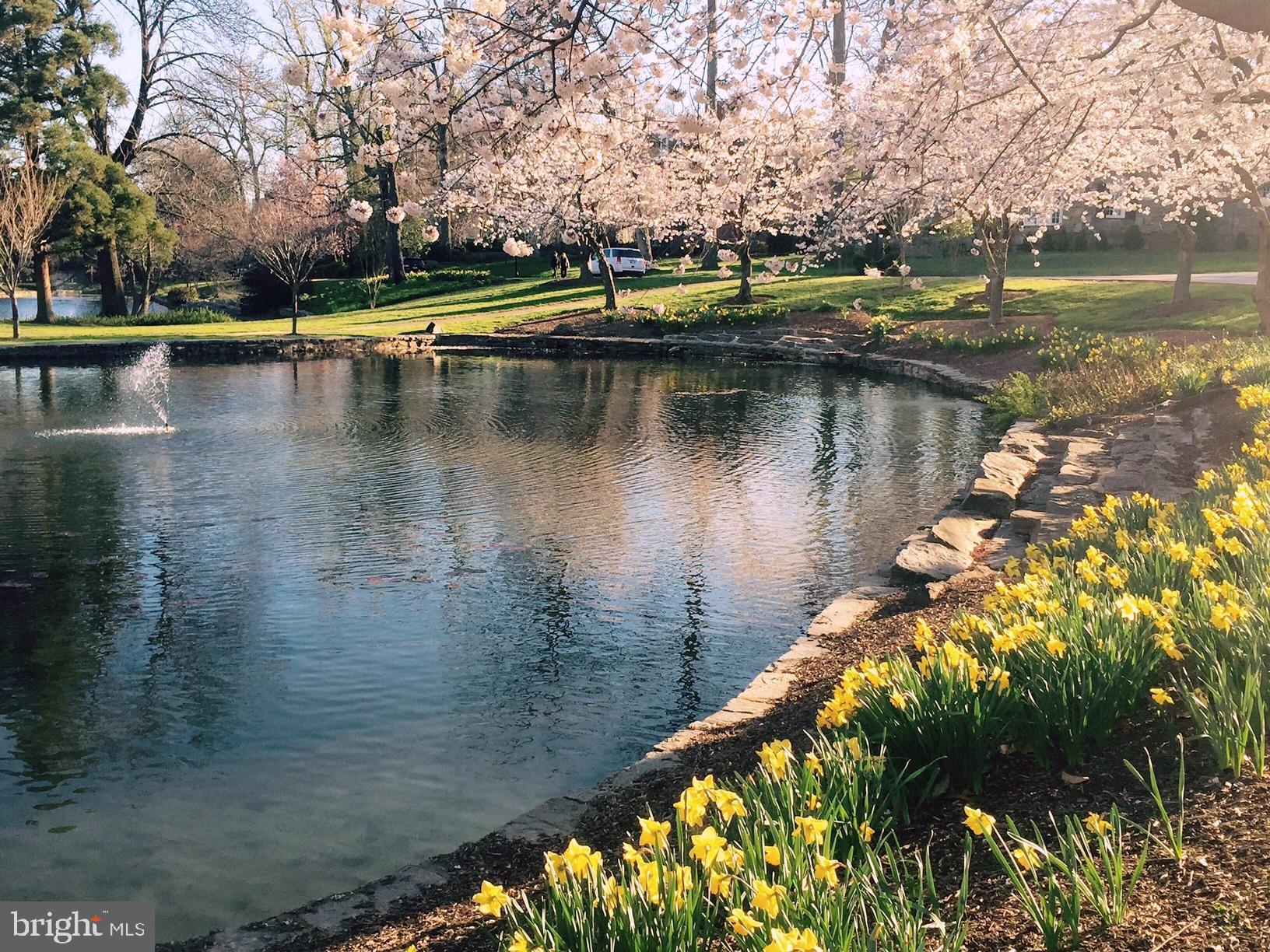 207 Tunbridge Road Baltimore, MD 21212 - Photo 41 of 43 The homeland lakes are in full bloom in April.