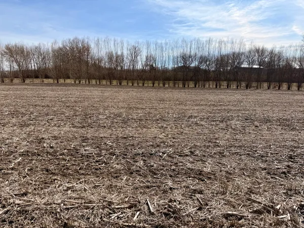 $65,000 | Lot 17 Cherub Court, Galesville, WI 54630