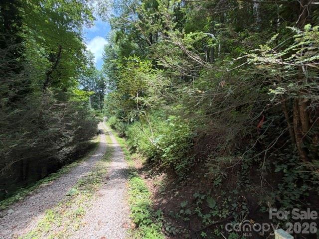 Lot 33 Sara Ridge Road Waynesville, NC 28786 - Photo 3 of 26 Gallery Image 3