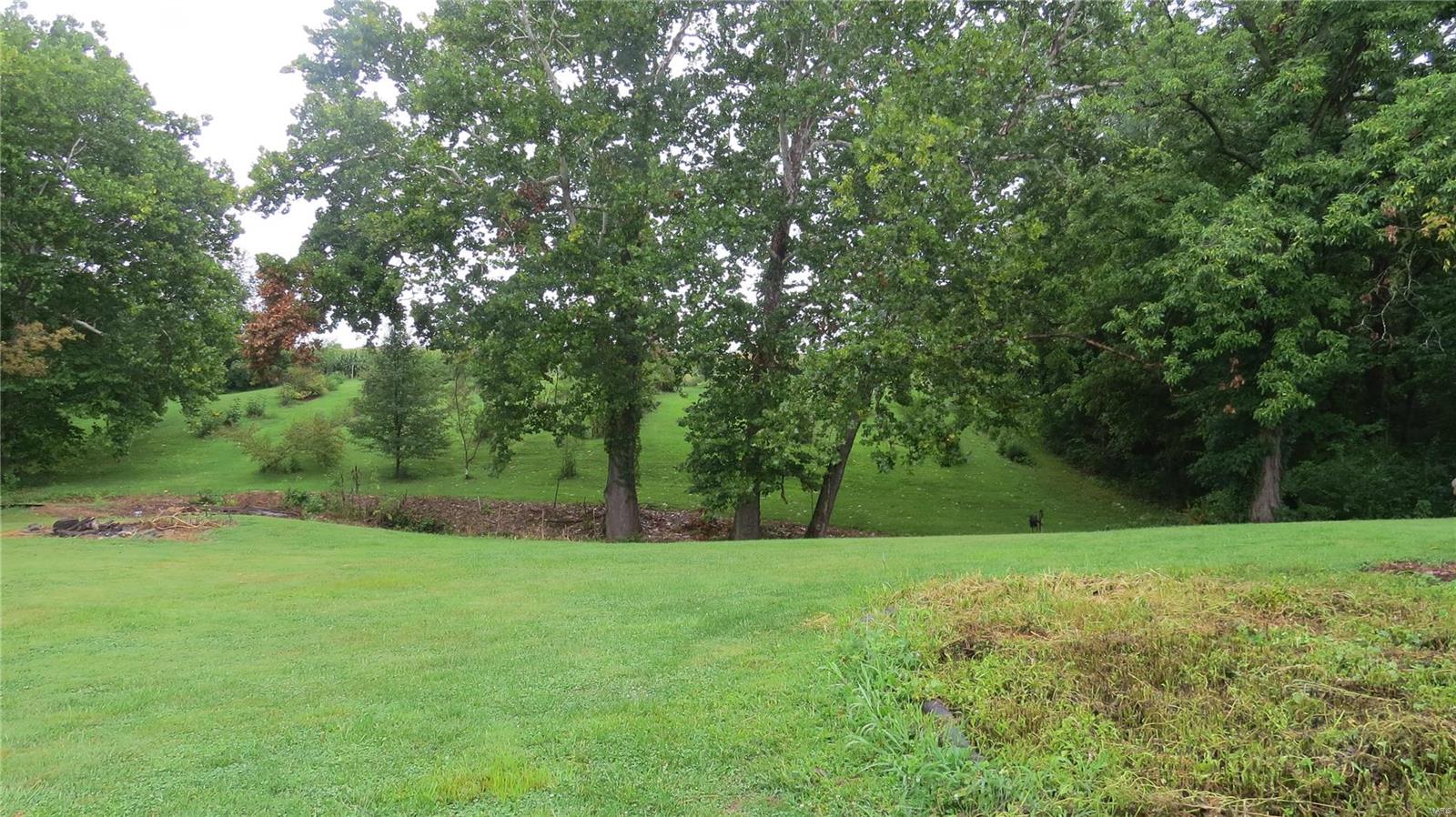 3739 Drexelius Road Alton, IL 62002 - Photo 2 of 10