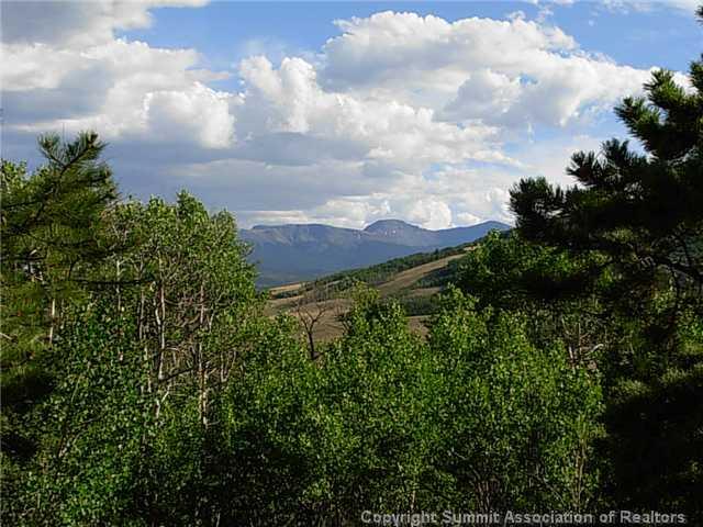 1376 Sheep Ridge Road Fairplay, CO 80440 - Photo 1 of 12