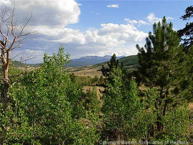 1376 Sheep Ridge Road Fairplay, CO 80440 - Photo 2 of 12
